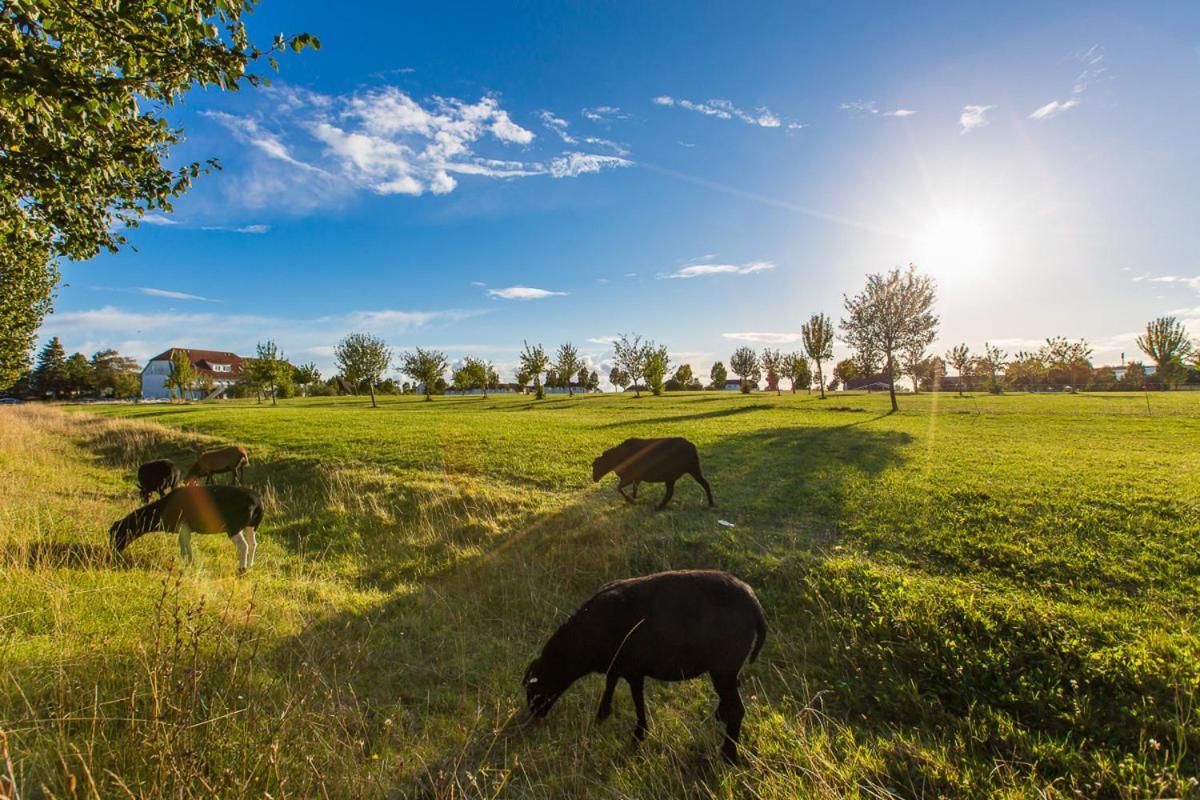 Ferienwohnung Moin Neddesitz Buitenkant foto
